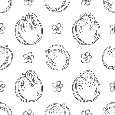 Tek renkli meyve deseni elde çizim tarzında. Kayısı, şeftali. Mönü ya da mutfak için desen. Tasarım, tekstil, kumaş, duvar kağıdı, ambalaj kağıdı, dekorasyon