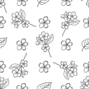 Tek renkli meyve deseni elde çizim tarzında. Kayısı çiçekleri. Mönü ya da mutfak için desen. Tasarım, tekstil, kumaş, duvar kağıdı, ambalaj kağıdı, dekorasyon vesaire için yazdır