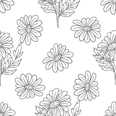 Tek renkli çiçek desenli. Menü ya da mutfağın el çizimi şekli. Papatya çayı, papatya. Tasarım, tekstil, kumaş, duvar kağıdı, ambalaj kağıdı, dekorasyon