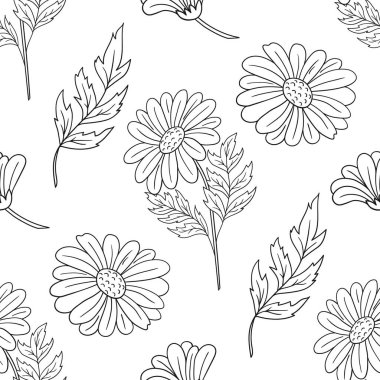 Tek renkli çiçek desenli. Papatya çayı. Menü ya da mutfağın el çizimi şekli. Tasarım, tekstil, kumaş, duvar kağıdı, ambalaj kağıdı