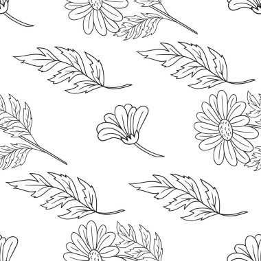 Tek renkli çiçek desenli. Papatya çayı. Menü ya da mutfağın el çizimi şekli. Tasarım, tekstil, kumaş, duvar kağıdı, ambalaj kağıdı, dekorasyon