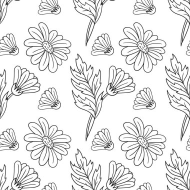 Tek renkli çiçek desenli. Papatya çayı, papatya. Menü ya da mutfağın el çizimi şekli. Tasarım için yazdır