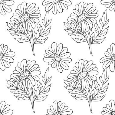 Tek renkli çiçek desenli. Papatya çayı, papatya. Menü ya da mutfağın el çizimi şekli. Tasarım ve tekstil için yazdır