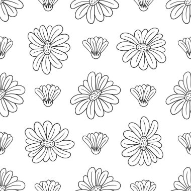 Tek renkli çiçek desenli. Papatya çayı, papatya. Menü ya da mutfağın el çizimi şekli. Yazdır