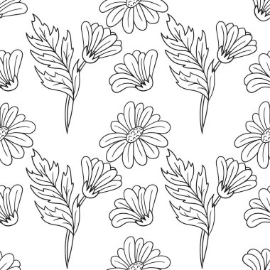 Tek renkli çiçek desenli. Papatya çayı, papatya. Menü ya da mutfağın el çizimi şekli. Tasarım, tekstil, kumaş, duvar kağıdı için yazdır