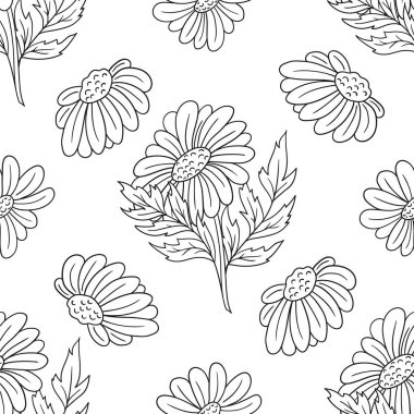 Tek renkli çiçek desenli. Papatya çayı, papatya. Menü ya da mutfağın el çizimi şekli. Tasarım, tekstil, kumaş, duvar kağıdı, ambalaj için yazdır