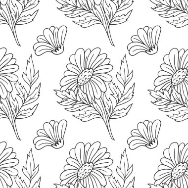 Tek renkli çiçek desenli. Papatya çayı, papatya. Menü ya da mutfağın el çizimi şekli. Tasarım, tekstil, kumaş, duvar kağıdı, ambalaj kağıdı, dekorasyon