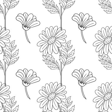 Papatya çayı. Tek renkli çiçek desenli. Menü ya da mutfağın el çizimi şekli. Tasarım, tekstil, kumaş için yazdır