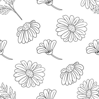 Papatya çayı. Tek renkli çiçek desenli. Menü ya da mutfağın el çizimi şekli. Tasarım, tekstil, kumaş, duvar kağıdı, ambalaj kağıdı