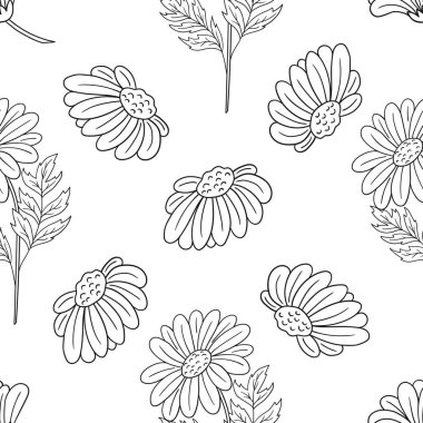 Papatya çayı. Tek renkli çiçek desenli. Menü ya da mutfağın el çizimi şekli. Tasarım, tekstil, kumaş, duvar kağıdı, ambalaj için yazdır