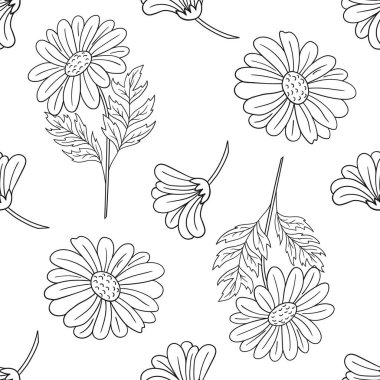 Papatya çayı. Tek renkli çiçek desenli. Menü ya da mutfağın el çizimi şekli. Tasarım, tekstil, kumaş, duvar kağıdı için yazdır