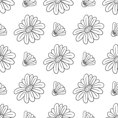 Papatya çayı, papatya. Tek renkli çiçek desenli. Menü ya da mutfağın el çizimi şekli. Tasarım için yazdır