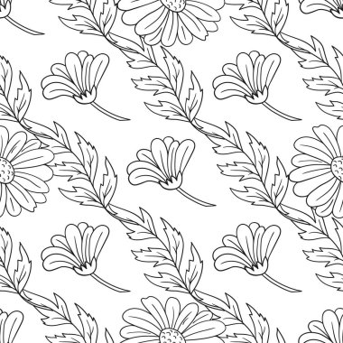 Papatya çayı. Tek renkli çiçek desenli. Menü ya da mutfağın el çizimi şekli. Tasarım, tekstil, kumaş, duvar kağıdı, ambalaj kağıdı, dekorasyon vesaire için yazdır