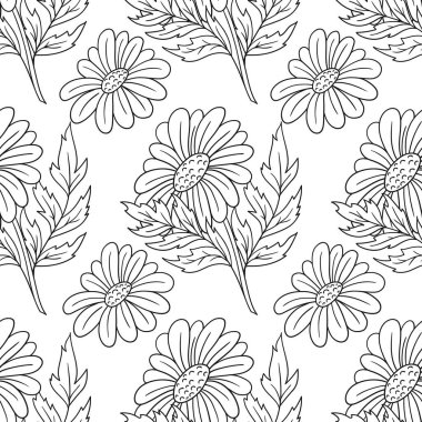 Papatya çayı, papatya. Tek renkli çiçek desenli. Menü ya da mutfağın el çizimi şekli. Tasarım ve tekstil için yazdır