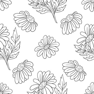 Papatya çayı, papatya. Tek renkli çiçek desenli. Menü ya da mutfağın el çizimi şekli. Tasarım, tekstil, kumaş, duvar kağıdı, ambalaj için yazdır