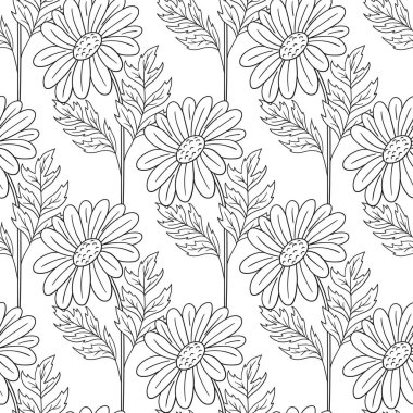 Papatya çayı, papatya. Tek renkli çiçek desenli. Menü ya da mutfağın el çizimi şekli. Tasarım, tekstil, kumaş, duvar kağıdı, ambalaj kağıdı