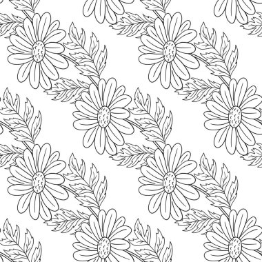 Papatya çayı, papatya. Tek renkli çiçek desenli. Menü ya da mutfağın el çizimi şekli. Tasarım, tekstil, kumaş, duvar kağıdı, ambalaj kağıdı, dekorasyon vesaire için yazdır