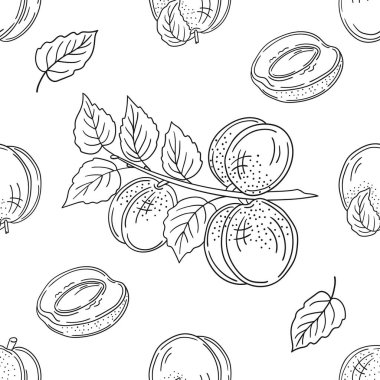 Kayısı. Tek renkli meyve deseni elde çizim tarzında. Mönü ya da mutfak deseni