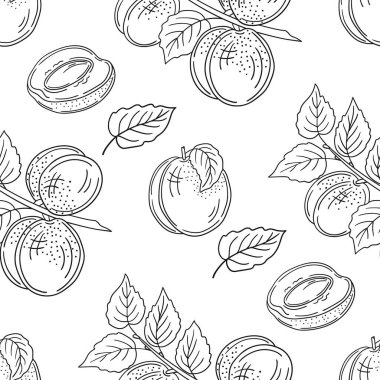 Kayısı. Tek renkli meyve deseni elde çizim tarzında. Menü için desen