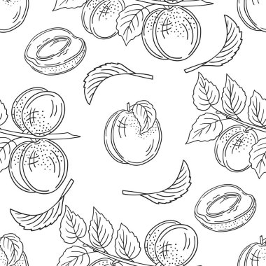 Kayısı. Tek renkli meyve deseni elde çizim tarzında. Mönü ya da mutfak için desen. Tasarım, tekstil, kumaş, duvar kağıdı, ambalaj kağıdı, dekorasyon vesaire için yazdır