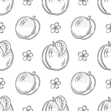 Kayısı, şeftali. Tek renkli meyve deseni elde çizim tarzında. Mönü ya da mutfak için desen. Tasarım, tekstil, kumaş, duvar kağıdı, ambalaj için yazdır