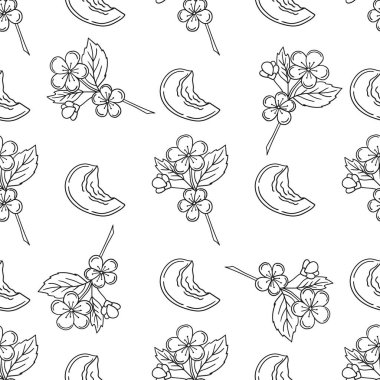 Kayısı çiçekleri. Tek renkli meyve deseni elde çizim tarzında. Mönü ya da mutfak deseni