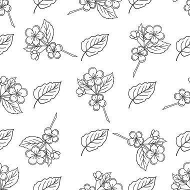 Kayısı çiçekleri. Tek renkli meyve deseni elde çizim tarzında. Menü için desen