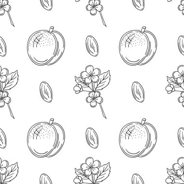 Kayısı çiçekleri. Tek renkli meyve deseni elde çizim tarzında. Mönü ya da mutfak için desen. Tasarım ve tekstil için yazdır
