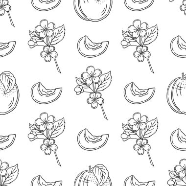 Kayısı çiçekleri. Tek renkli meyve deseni elde çizim tarzında. Mönü ya da mutfak için desen. Tasarım için yazdır