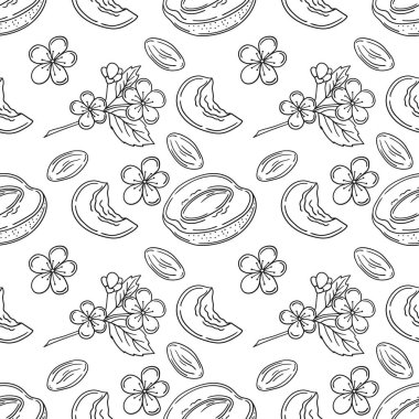 Kayısı çiçekleri. Tek renkli meyve deseni elde çizim tarzında. Mönü ya da mutfak için desen. Yazdır