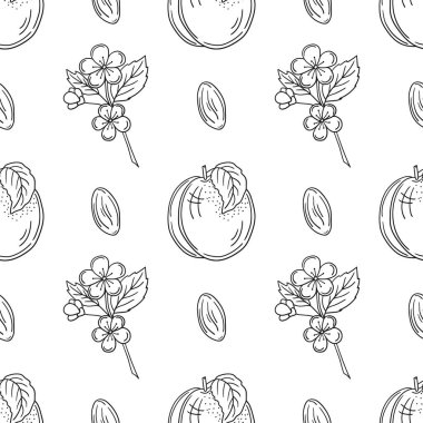 Kayısı çiçekleri. Tek renkli meyve deseni elde çizim tarzında. Mönü ya da mutfak için desen. Tasarım, tekstil, kumaş, duvar kağıdı, ambalaj kağıdı