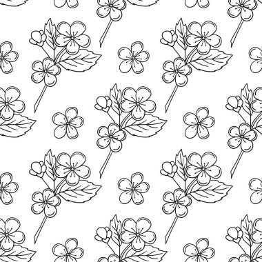 Kayısı çiçekleri. Tek renkli meyve deseni elde çizim tarzında. Mönü ya da mutfak için desen. Tasarım, tekstil, kumaş, duvar kağıdı, ambalaj kağıdı, dekorasyon