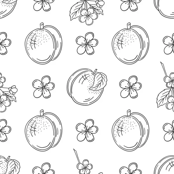 Tek renkli meyve deseni elde çizim tarzında. Mönü ya da mutfak için desen. Kayısı