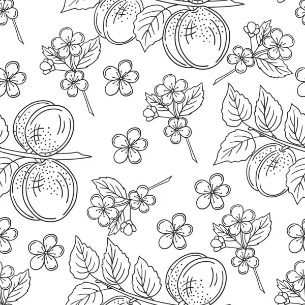 Tek renkli meyve deseni elde çizim tarzında. Mönü ya da mutfak için desen. Kayısı. Tasarım, tekstil, kumaş, duvar kağıdı, ambalaj için yazdır