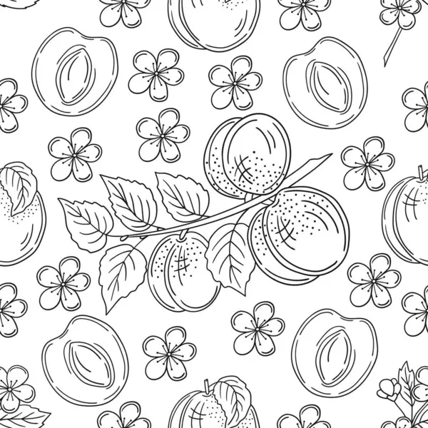 Tek renkli meyve deseni elde çizim tarzında. Kayısı. Mönü ya da mutfak için desen. Tasarım için yazdır