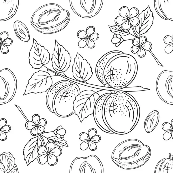 Tek renkli meyve deseni elde çizim tarzında. Kayısı. Mönü ya da mutfak için desen. Tasarım, tekstil, kumaş için yazdır