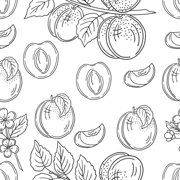 Tek renkli meyve deseni elde çizim tarzında. Kayısı. Mönü ya da mutfak için desen. Tasarım, tekstil, kumaş, duvar kağıdı için yazdır