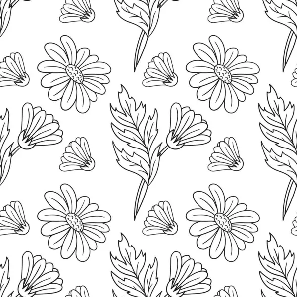 Tek renkli çiçek desenli. Papatya çayı, papatya. Menü ya da mutfağın el çizimi şekli. Tasarım için yazdır