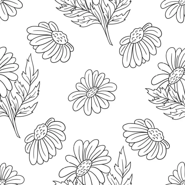 Papatya çayı, papatya. Tek renkli çiçek desenli. Menü ya da mutfağın el çizimi şekli. Tasarım, tekstil, kumaş, duvar kağıdı, ambalaj için yazdır