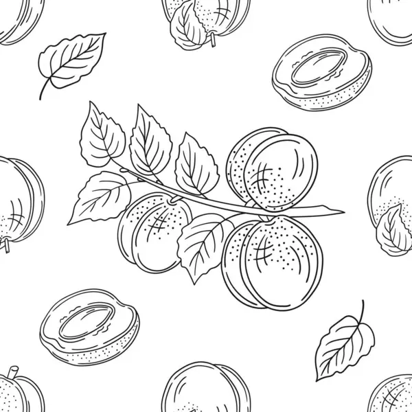 Kayısı. Tek renkli meyve deseni elde çizim tarzında. Mönü ya da mutfak deseni