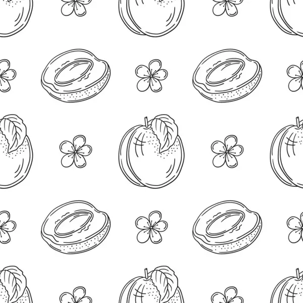 Kayısı. Tek renkli meyve deseni elde çizim tarzında. Mönü ya da mutfak için desen. Tasarım, tekstil, kumaş, duvar kağıdı, ambalaj kağıdı