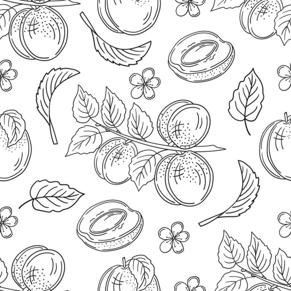 Kayısı. Tek renkli meyve deseni elde çizim tarzında. Mönü ya da mutfak için desen. Tasarım, tekstil, kumaş, duvar kağıdı, ambalaj kağıdı, dekorasyon