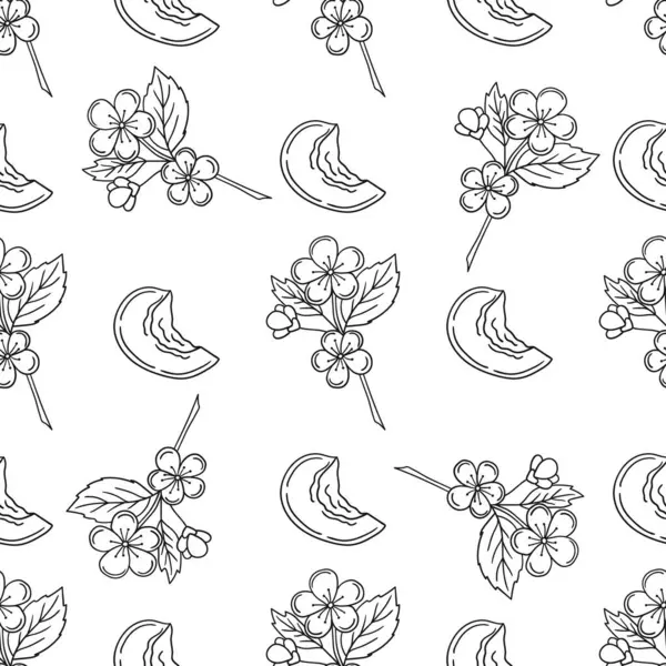 Kayısı çiçekleri. Tek renkli meyve deseni elde çizim tarzında. Mönü ya da mutfak deseni