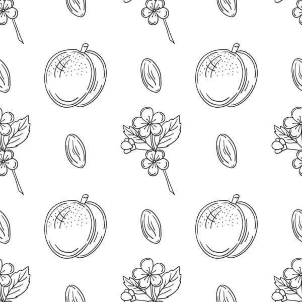 Kayısı çiçekleri. Tek renkli meyve deseni elde çizim tarzında. Mönü ya da mutfak için desen. Tasarım ve tekstil için yazdır