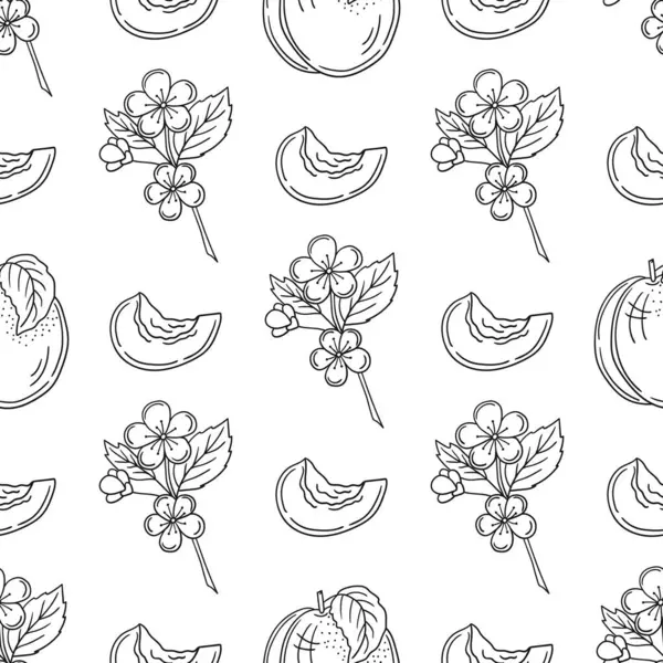 Kayısı çiçekleri. Tek renkli meyve deseni elde çizim tarzında. Mönü ya da mutfak için desen. Tasarım için yazdır