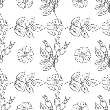 Rosehip 'te. Tek renkli çiçek desenli. Tekstil ya da mutfak tarzı. Tasarım, tekstil, kumaş için yazdır