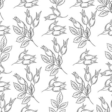 Rosehip 'te. Tek renkli çiçek deseni elde çizim tarzında. Tekstil ya da mutfak deseni