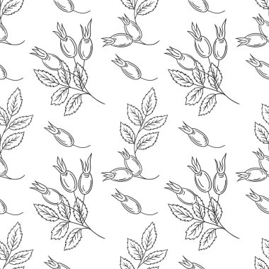 Rosehip 'te. Tek renkli çiçek deseni elde çizim tarzında. Tekstil ya da mutfak için desen. Yazdır
