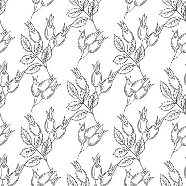 Rosehip 'te. Tek renkli çiçek deseni elde çizim tarzında. Tekstil ya da mutfak için desen. Tasarım, tekstil, kumaş için yazdır