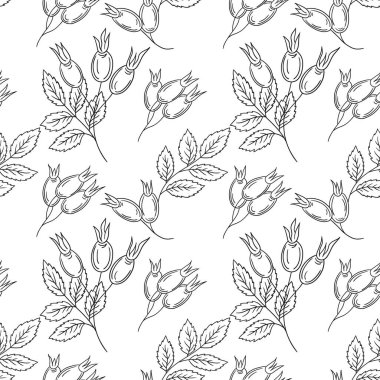 Rosehip 'te. Tek renkli çiçek deseni elde çizim tarzında. Tekstil ya da mutfak için desen. Tasarım, tekstil, kumaş, duvar kağıdı için yazdır